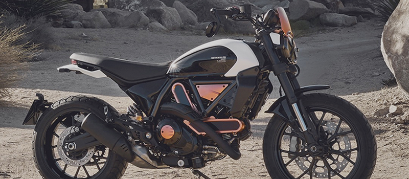 10th Anniversary Rizoma Edition Banner