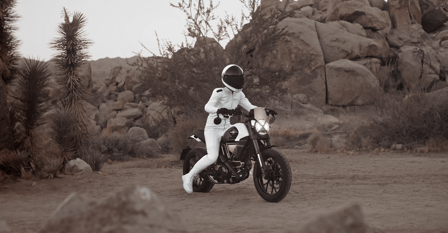 10th Anniversary Rizoma Edition